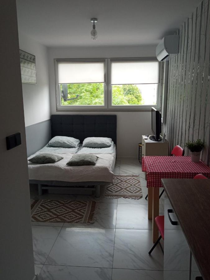 Night Host Robotnicza Apartment Wroclaw Bagian luar foto
